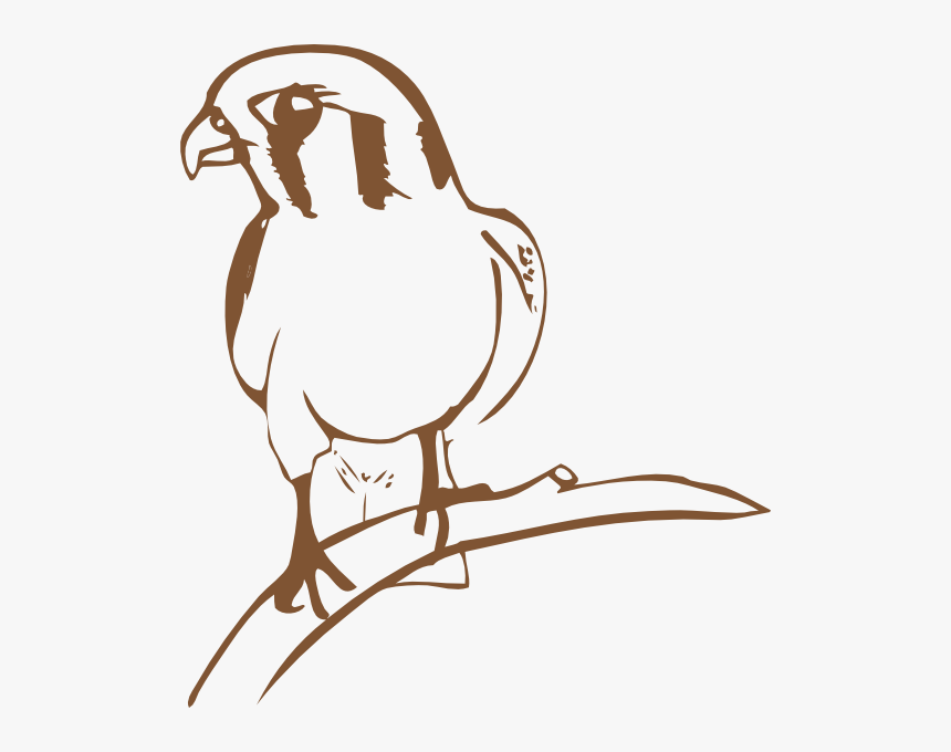 Falcon Graphic Vector Logo Wikiclipart Image Png Clipart - Vector Graphics, Transparent Png