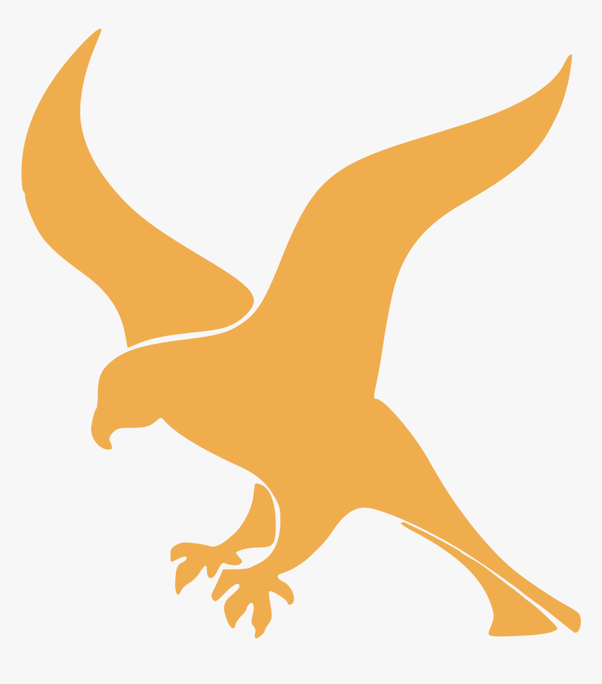 Clip Art Falcon Images - Falcon Python, HD Png Download