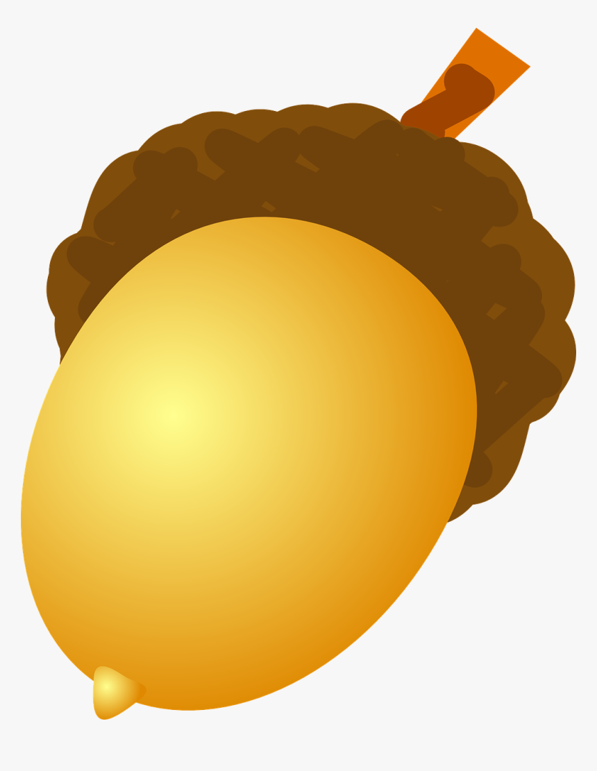 Acorn Png Image - Acorn Clip Art, Transparent Png