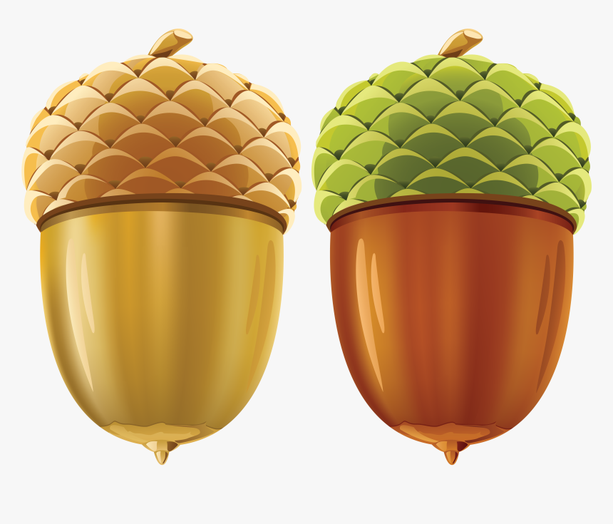 Acorn Png Image - Nuts Vector, Transparent Png