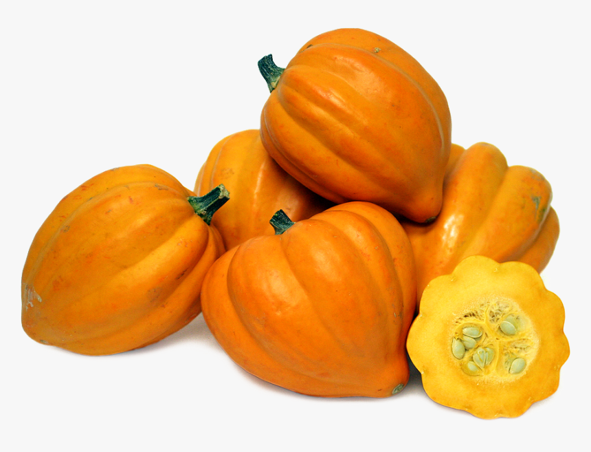 Download Acorn Squash Png File - Acorn Squash Png Transparent, Png Download