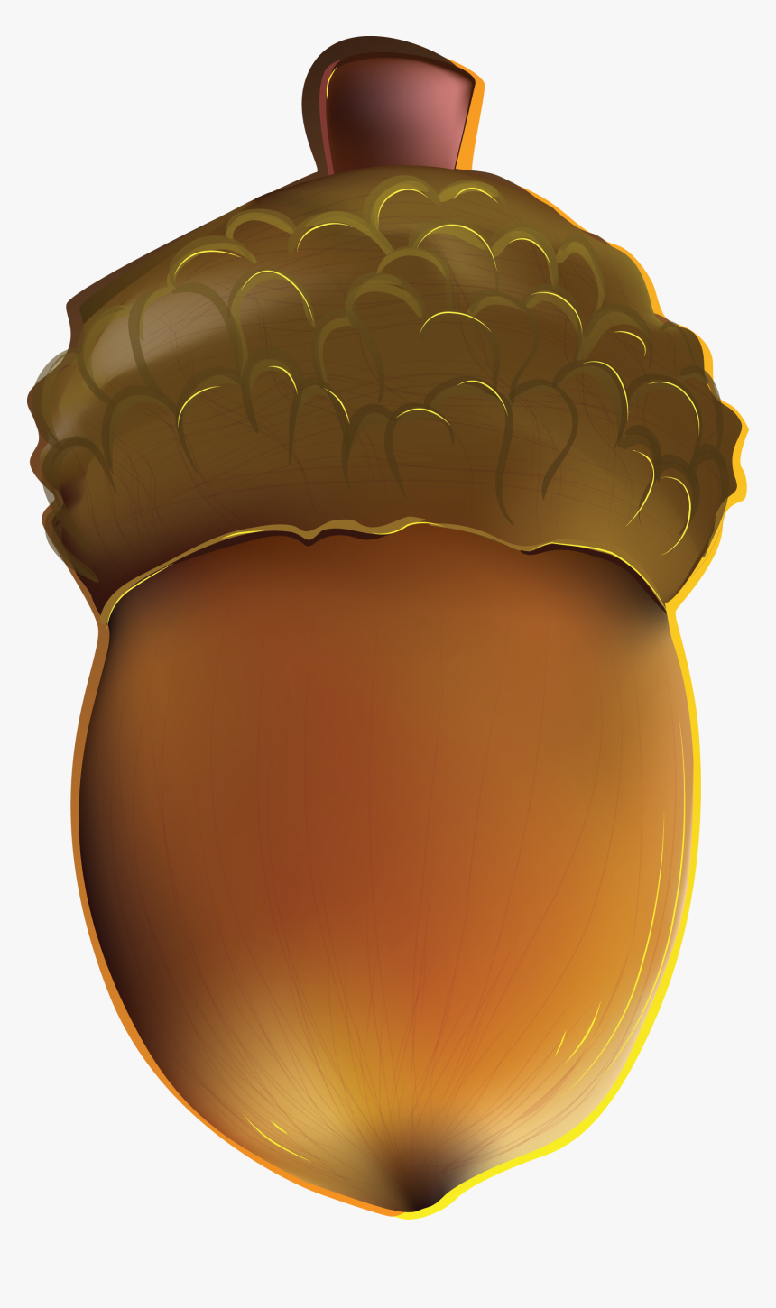 Acorn Png Image - Желудь Картинки Для Детей, Transparent Png
