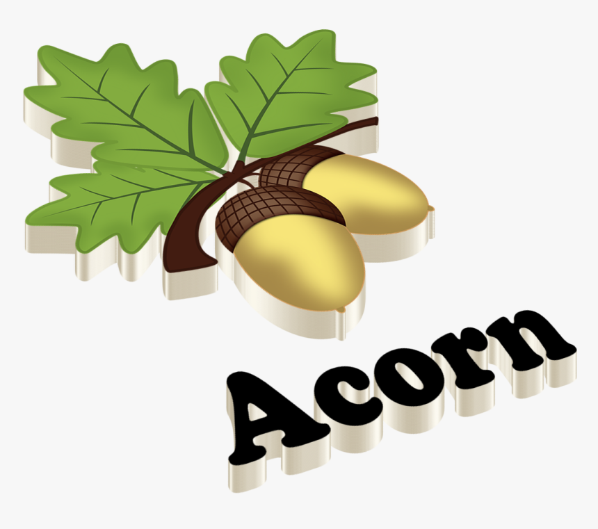 Acorn - Aleena Name, HD Png Download
