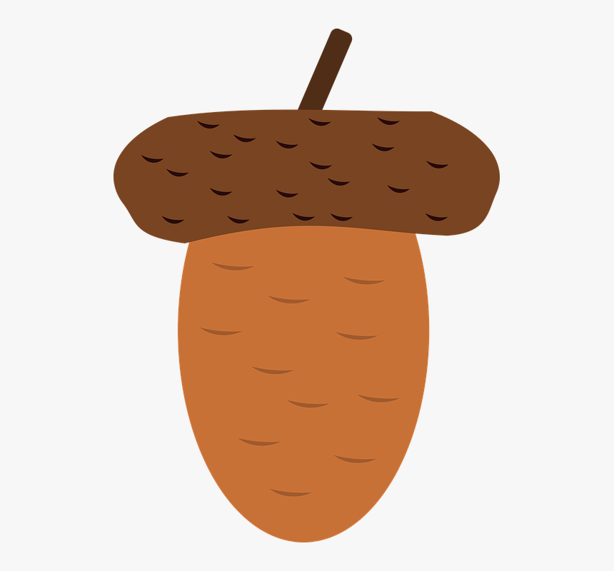Acorn, Oak, Autumn, Forest, Crop, Nature, Plant - ลูก โอ๊ ค Png, Transparent Png