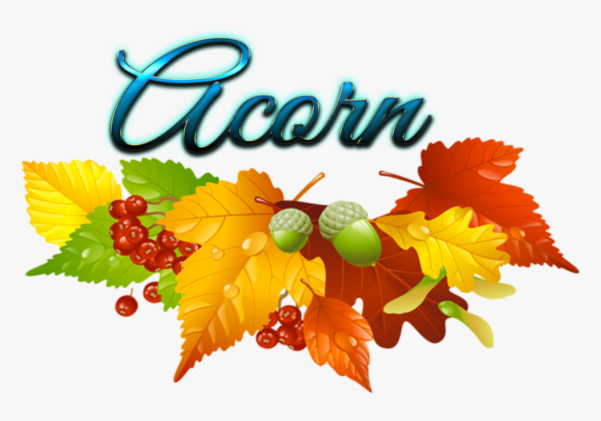 Acorn Transparent - Fall Leaf Clipart, HD Png Download