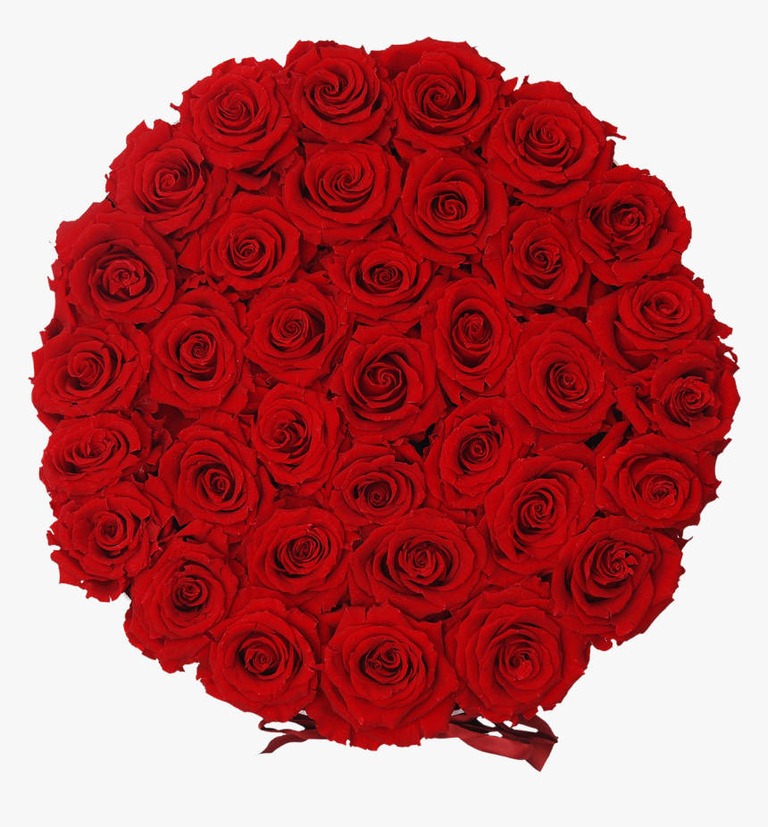 Orb Grand Red Roses 
 Class Lazyload Lazyload Fade - Garden Roses, HD Png Download