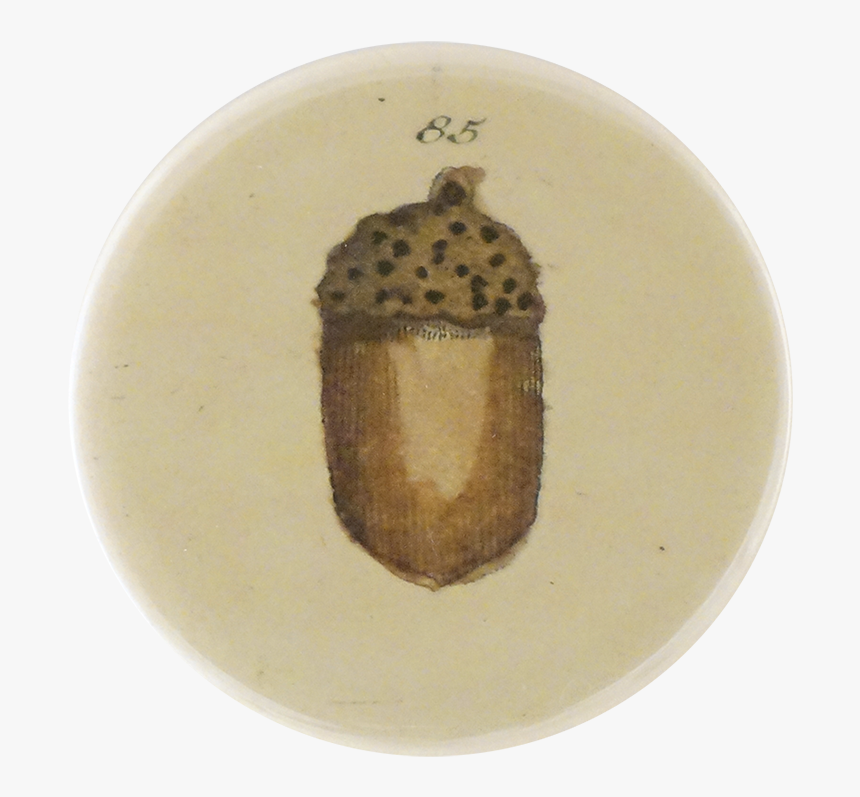 Wood, HD Png Download