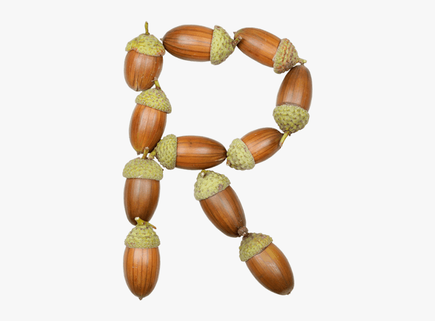 Necklace, HD Png Download