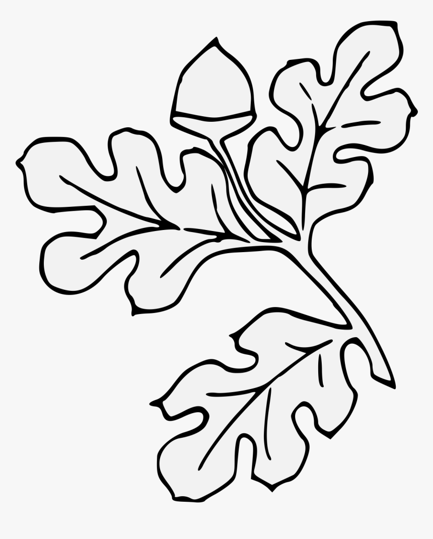 Line Art, HD Png Download