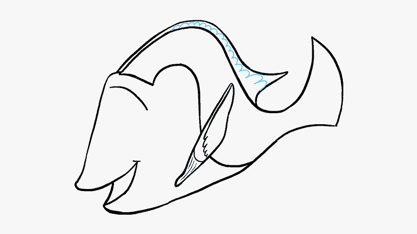 How To Draw Dory - Drawing, HD Png Download