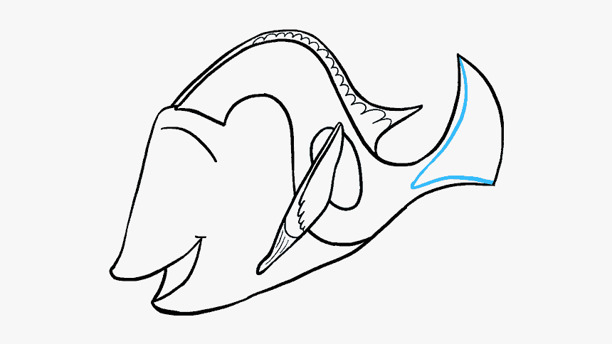 How To Draw Dory - Drawing, HD Png Download