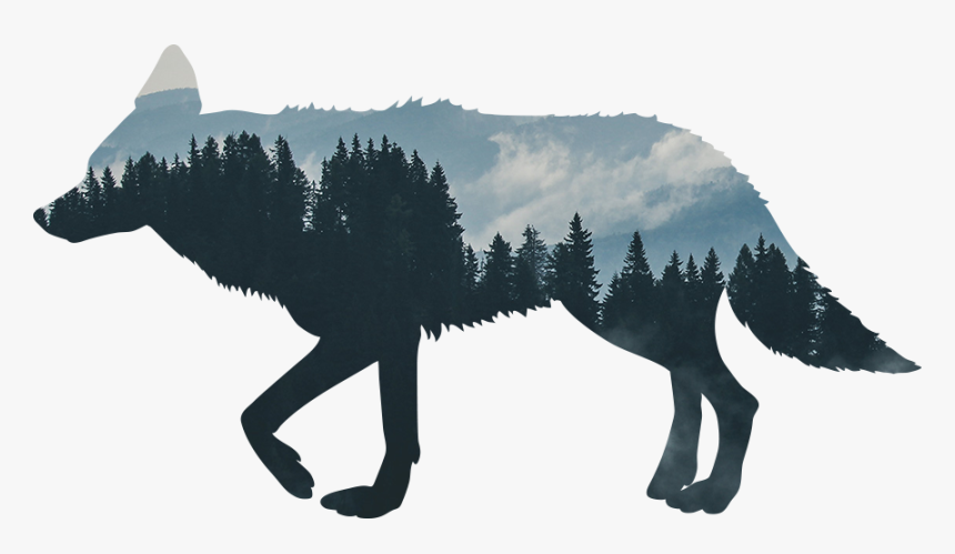 Coyote Silhouette Transparent, HD Png Download
