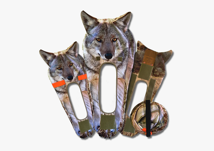 Coyote Stalker Stack - Grey Fox, HD Png Download