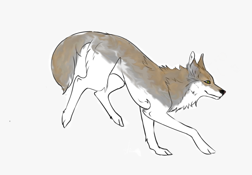 Transparent Coyote Png - Coyote, Png Download