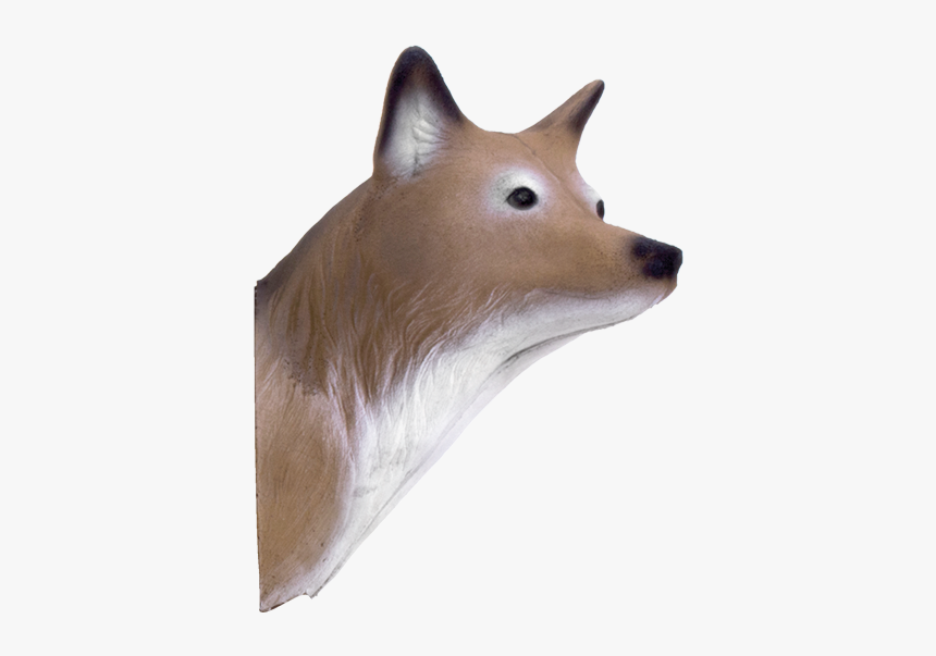 Delta Mckenzie - Shetland Sheepdog, HD Png Download