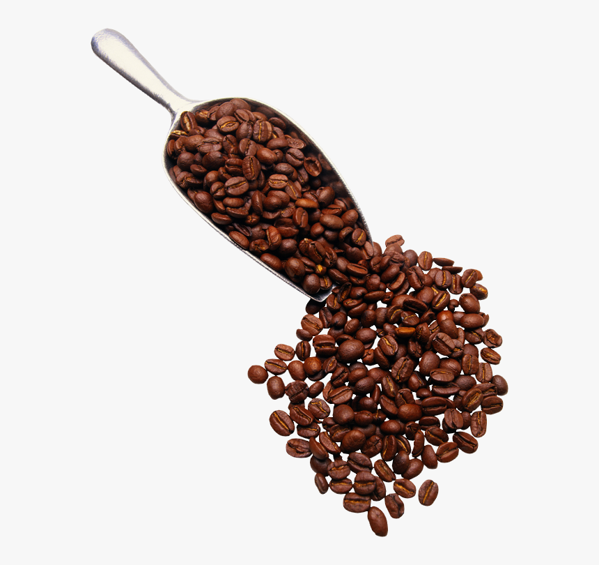Transparent Grain Png - Coffee Beans Transparent Png, Png Download