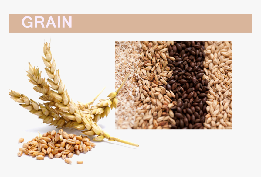 Grain Png Pic - Wheat And Barley, Transparent Png