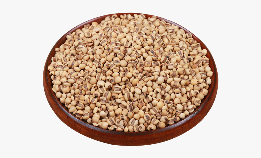Cereal Tea Barley Rice - Cranberry Bean, HD Png Download