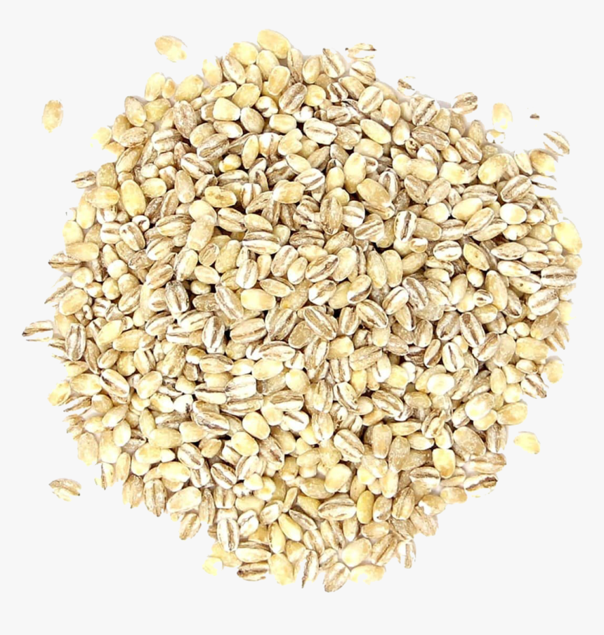 Barley Grain Png Pic - Hulled Barley, Transparent Png