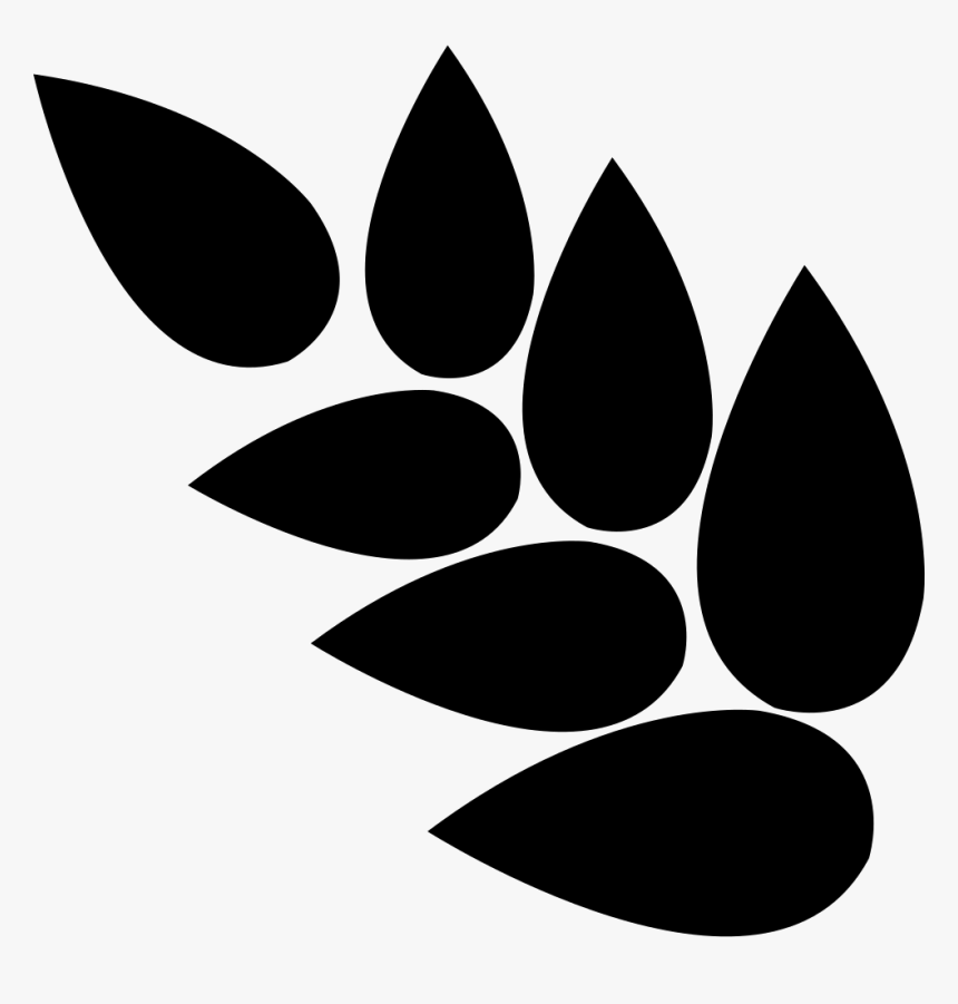 Grain, HD Png Download
