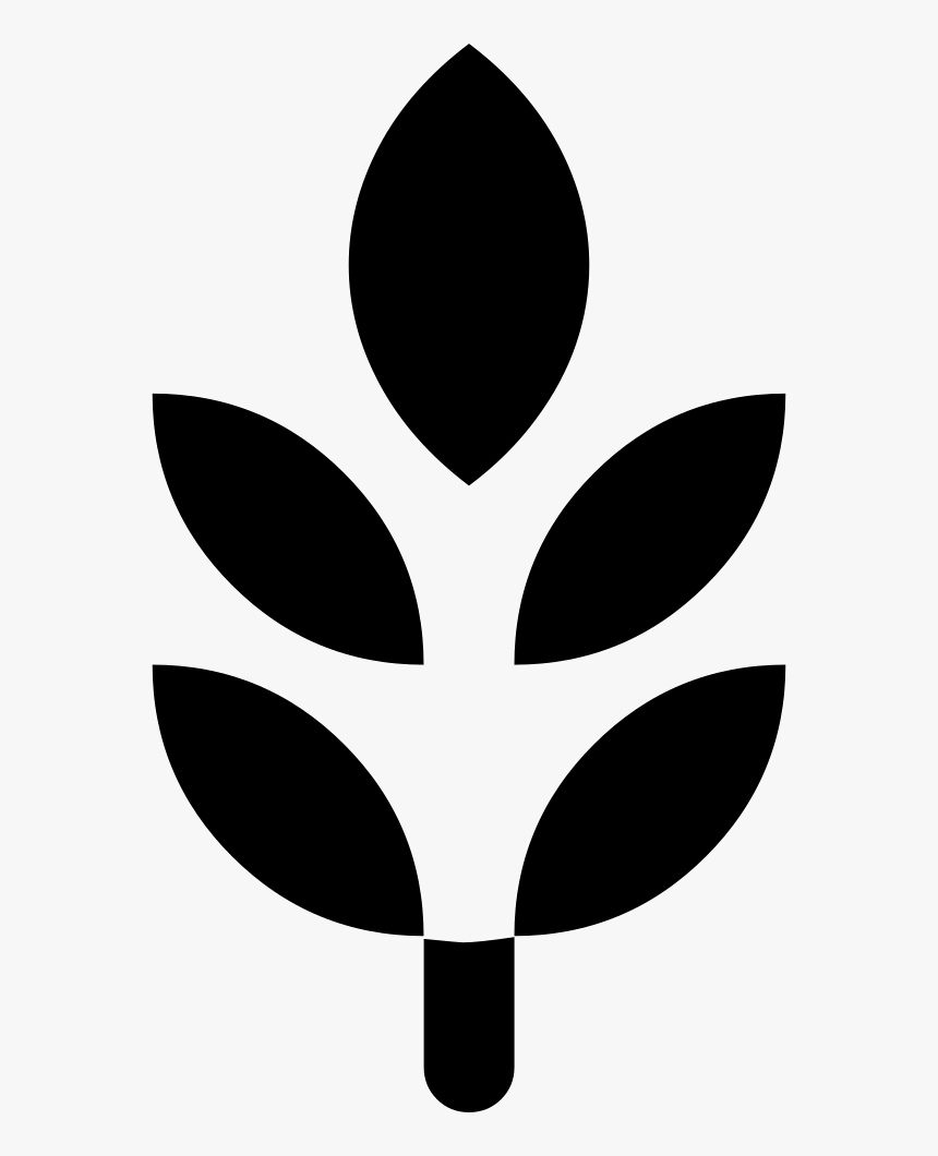 Grain - Circle, HD Png Download