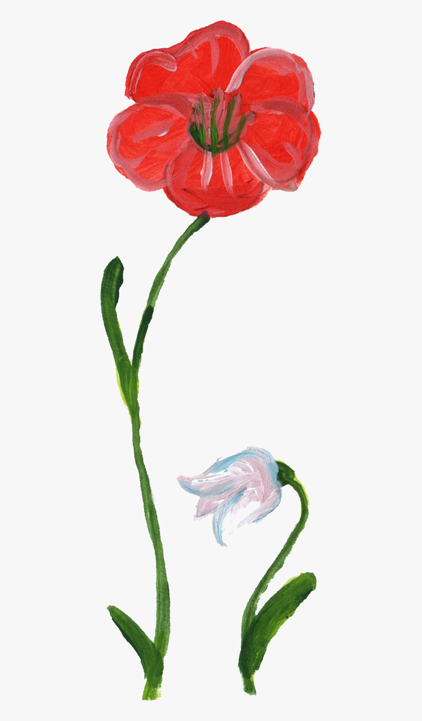 Transparent Flower Paint Png, Png Download