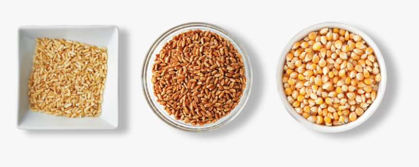 Seed, HD Png Download