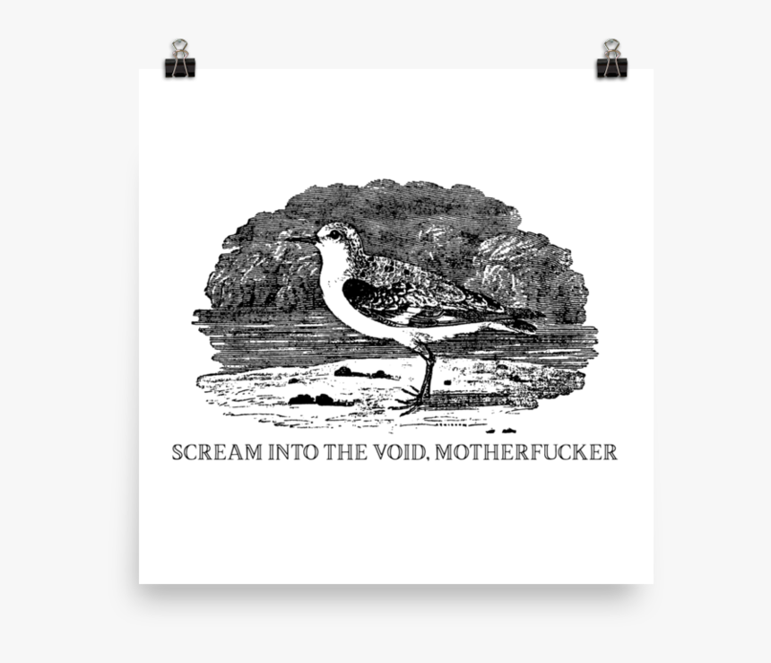 Scream Into The Void 
 Srcset Data - Scream Into The Void, HD Png Download