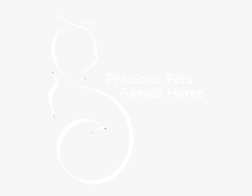 Monochrome, HD Png Download