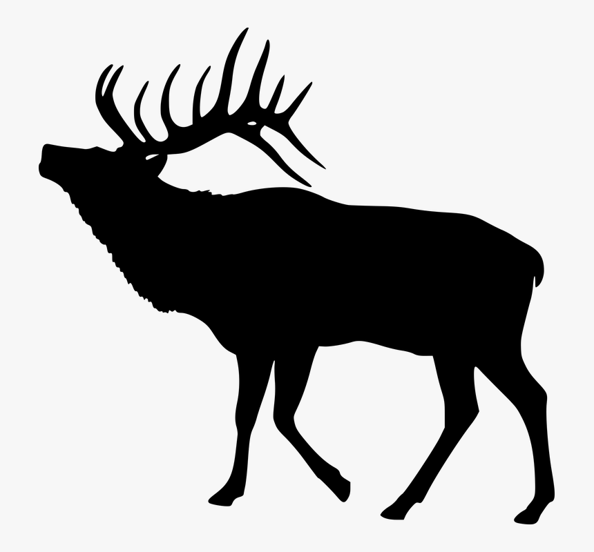 Elk, Deer, Silhouette, Animal, Mammal, Antler, Wildlife - Elk Clipart Black And White, HD Png Download