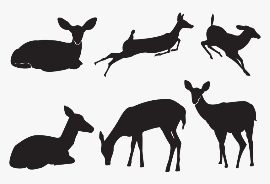 Deer, Silhouette, Nature, Animals, Wild, Animal, HD Png Download
