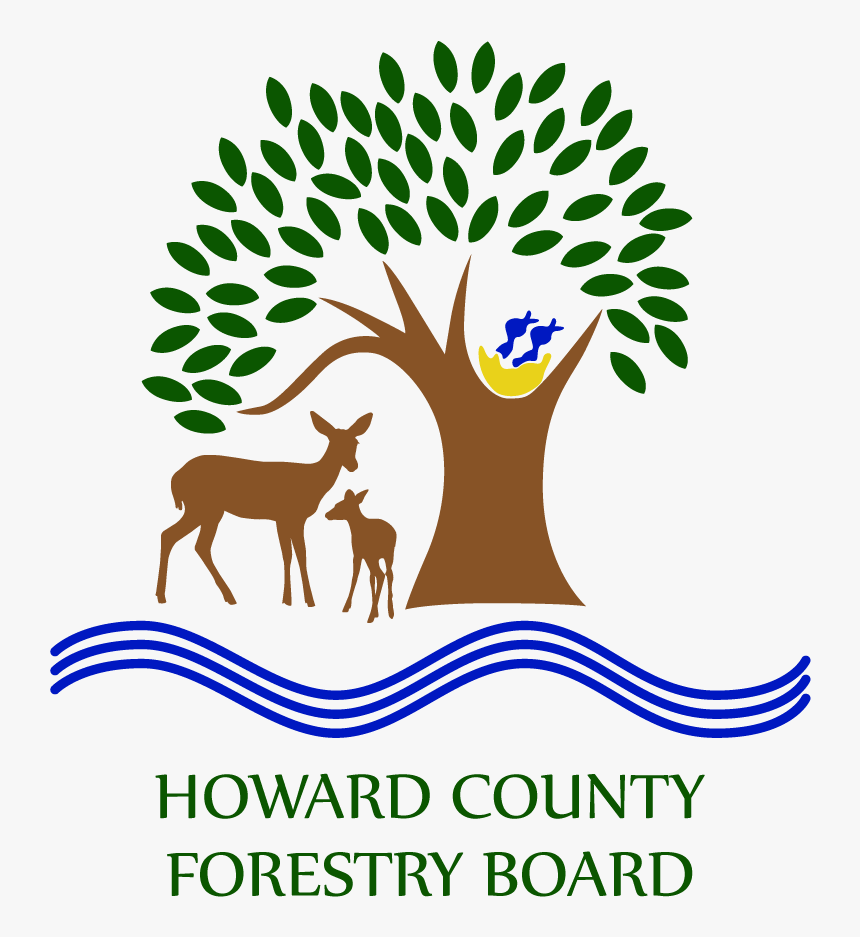 Whitetail Deer Silhouette - Logo For Forestry, HD Png Download