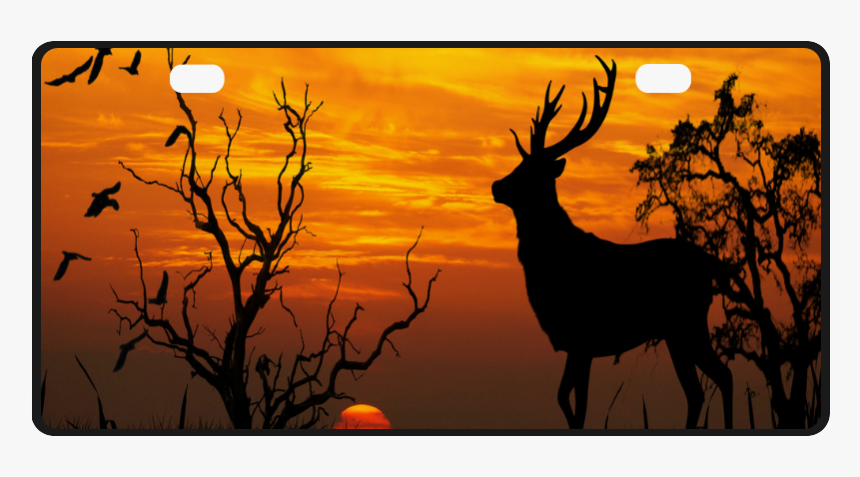 Sunset Deer Silhouette License Plate - Elk, HD Png Download