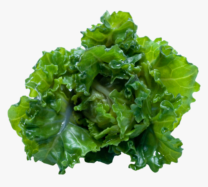 Kale Png Image, Transparent Png