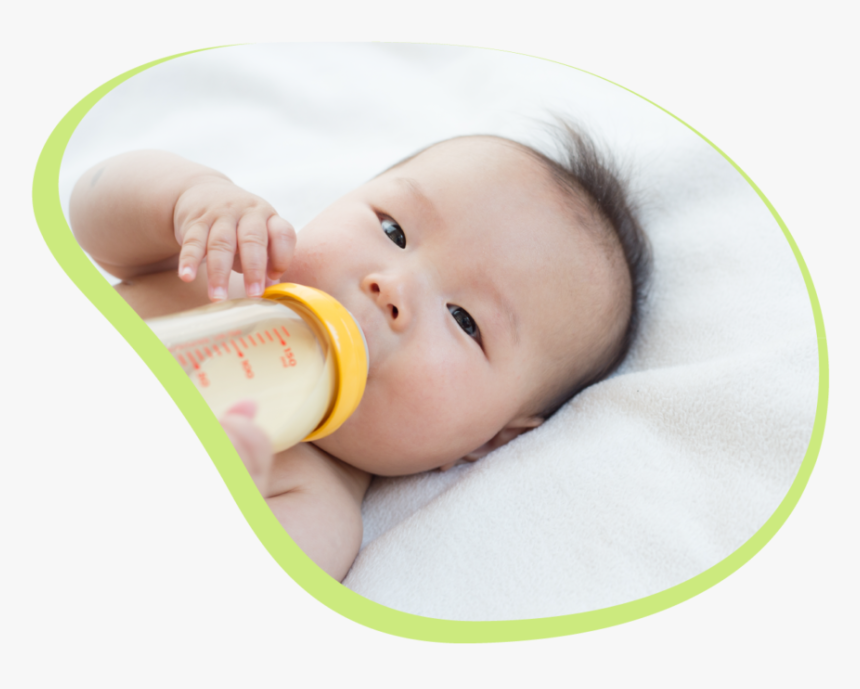 One-touch Baby Bottle Sterilizer - Baby, HD Png Download