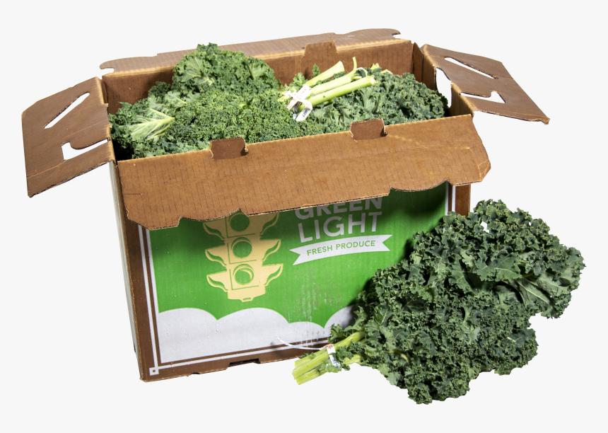 Transparent Kale Png - Lacinato Kale, Png Download