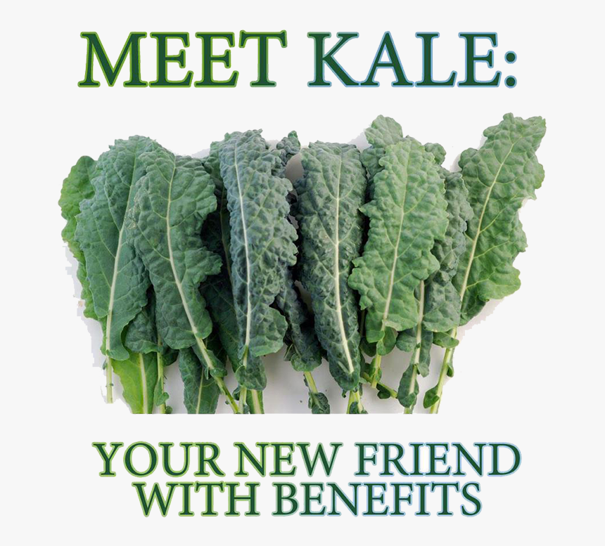 8000 Seeds Lacinto Kale , Png Download - Kale Is Disgusting, Transparent Png