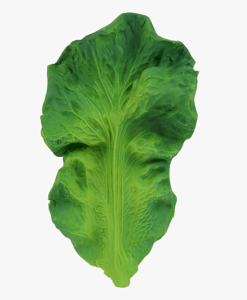 Oli & Carol - Kendall Kale, HD Png Download