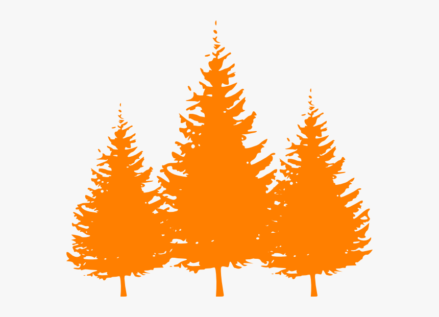 Pine Tree Silhouette Vector - Pine Tree Clipart Png, Transparent Png