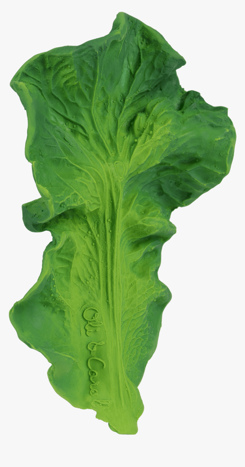 Oli & Carol Kendall The Kale , Png Download - Oli & Carol, Transparent Png