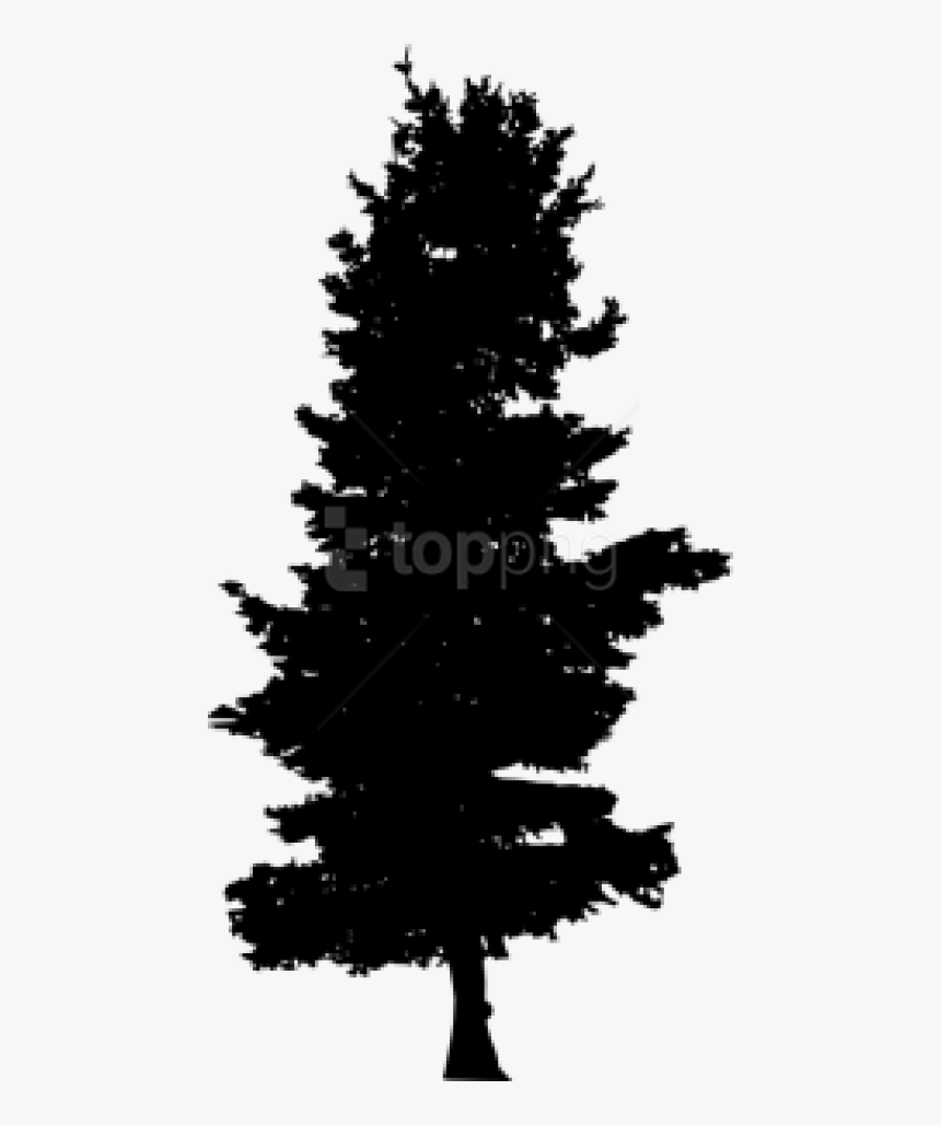 Bush Silhouette Clipart Black And White, HD Png Download