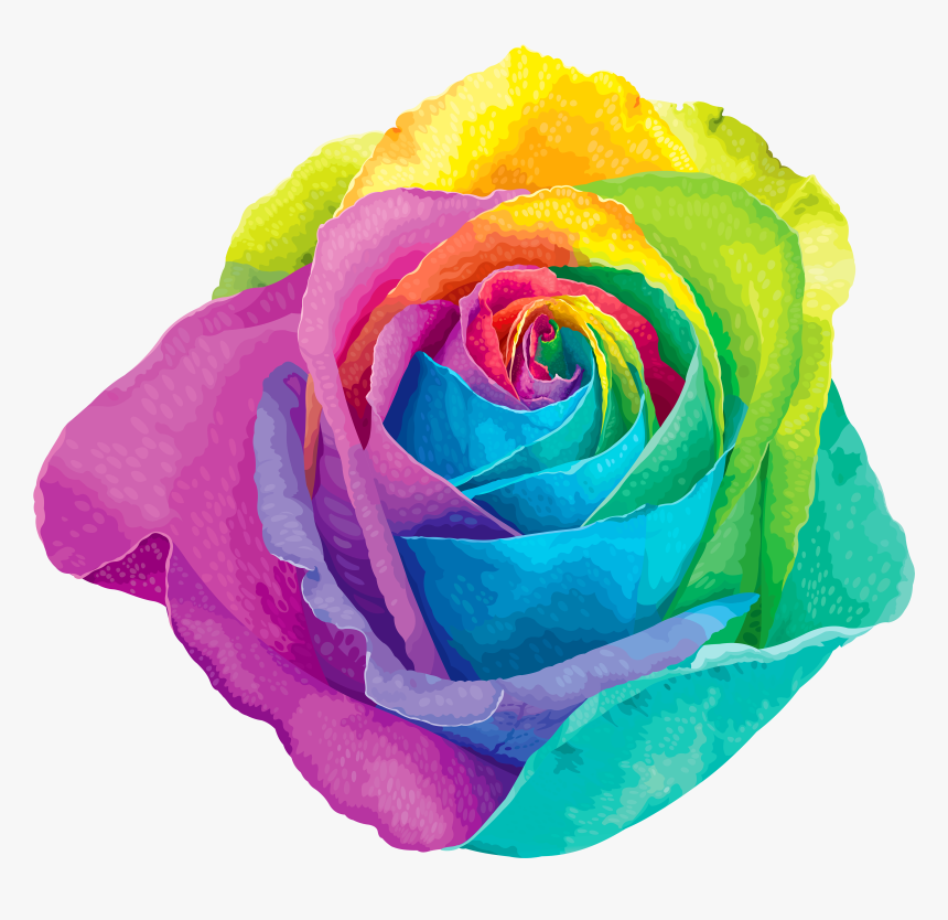 Multicolored Rainbow Rose Transparent Png Clip Art - Rainbow Rose Png, Png Download