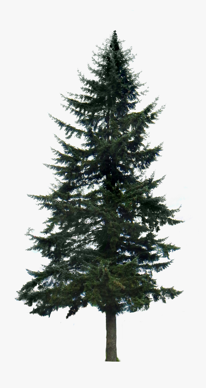 High Burst Damage - Transparent Floating Island Png, Png Download