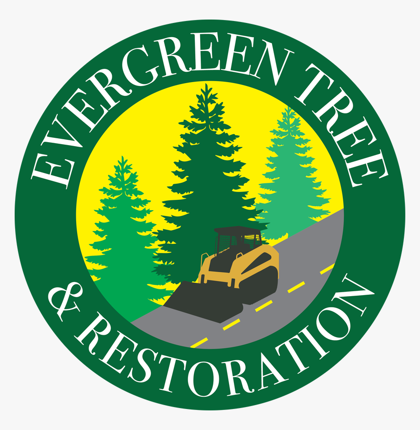 Transparent Evergreen Trees Png - Pine Tree Silhouette, Png Download