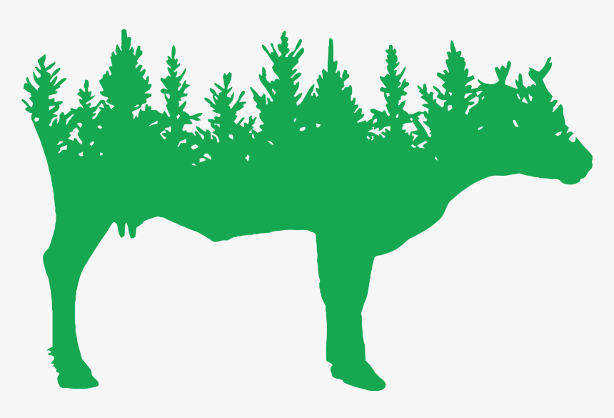 Transparent Pikes Peak Silhouette Clipart - Pine Trees Background Vector, HD Png Download