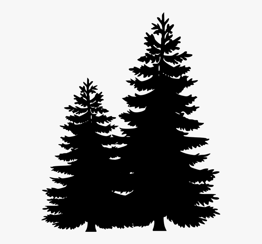 Clip Art Portable Network Graphics Pine Tree Image - Pine Tree Line Silhoue...