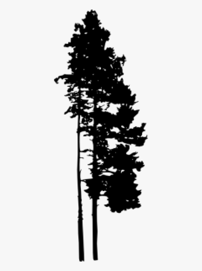 Pine Tree Silhouette Transparent Background, HD Png Download