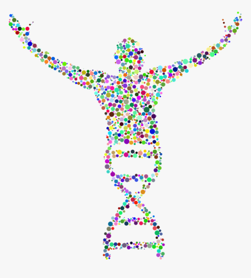 Human Genome Project, HD Png Download