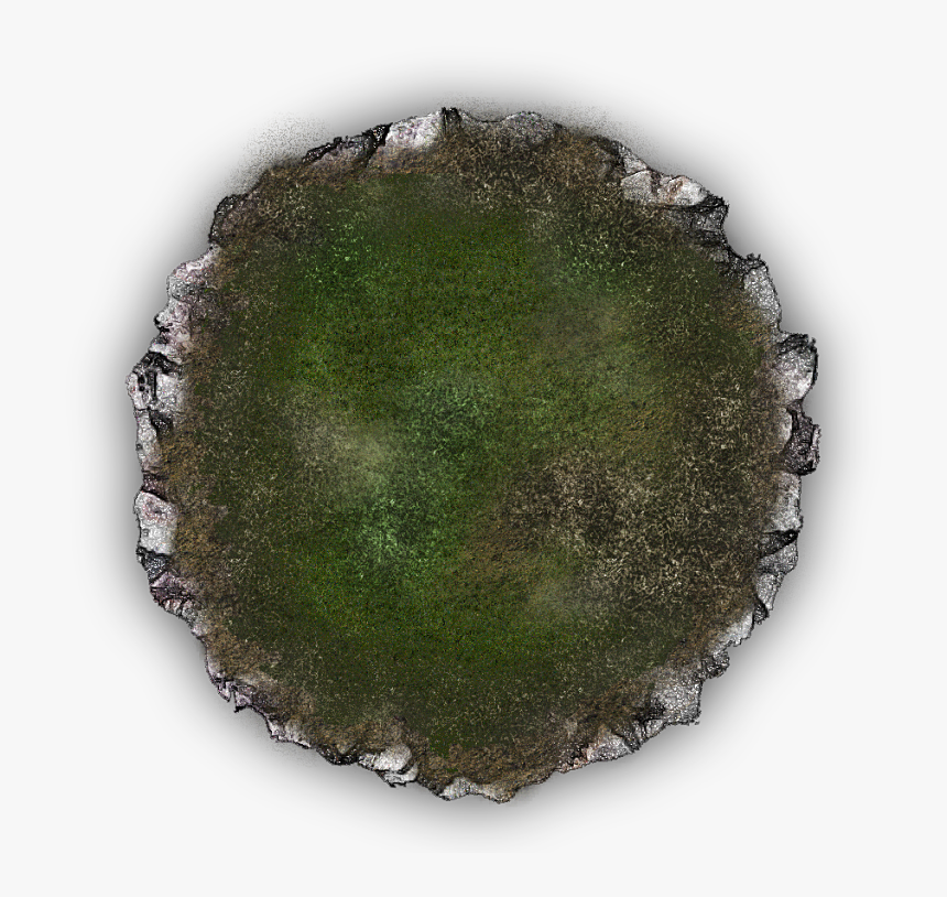 Hedgehog Cactus, HD Png Download