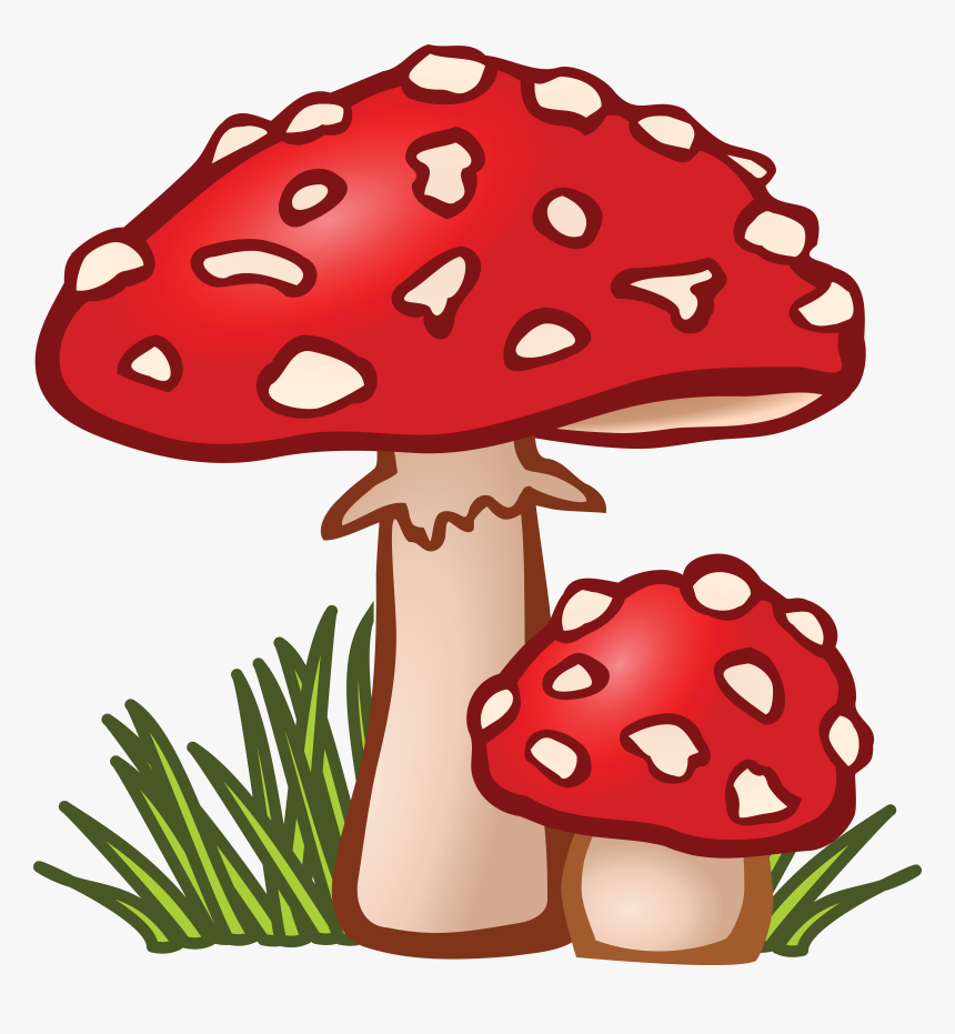 Free Clipart Of Mushrooms - Mushroom Clipart, HD Png Download